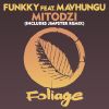 Download track Mitodzi (Main Mix)