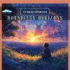 Download track Boundless Horizons (Rainfall Harmony Noise)