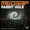 Download track Rabbit Hole (Kyro Remix)