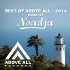 Download track Best Of Above All 2014 (Continuous DJ Mix)