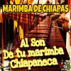 Download track Clases De Cha Cha Cha