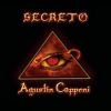 Download track Secreto