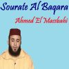 Download track Sourate Al Baqara, Pt. 1 (Quran)