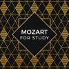 Download track Symphony No. 29 In A, K. 201: 1. Allegro Moderato