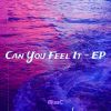 Download track Can You Tell Me How It Feels