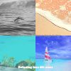 Download track Classic Ambience For Vacations