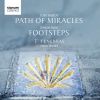 Download track Path Of Miracles I. Roncesvalles