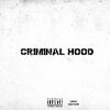 Download track Criminal Hood