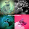 Download track Chilled (Cute Kittens)