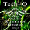 Download track Summer Breeze