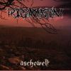 Download track Aschewelt