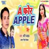 Download track Dulha Mili Champaran Me