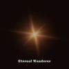 Download track Eternal Wanderer