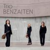 Download track Trio N° 2 En Mi Bémol Majeur Op. 100. Scherzando - Trio