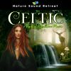 Download track Celtic Harp Meditation - Mystical Harp In The Magical Forest