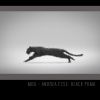 Download track Black Puma