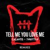 Download track Tell Me You Love Me (Raven & Kreyn Remix)