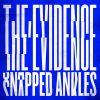 Download track The Evidence