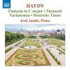 Download track Fantasia In C Major, Op. 58, Hob. XVII4