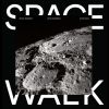 Download track Space Walk (Original Mix)