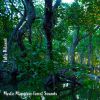 Download track Mystic Mangrove Forest Sounds, Pt. 1