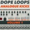 Download track Db Analogue Kick 05