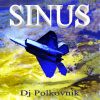 Download track Sinus