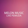 Download track Apus Apus Mesem (Live)