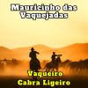 Download track Um Cavalo Abandonado (Cover)