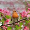 Download track Inspiring Garden Birdsong Sounds, Pt. 6