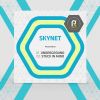 Download track Skynet Stuck In Mind