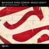 Download track Piano Sonata In B Flat Major Hammerklavier Op 106 - 3 Adagio Sostenuto