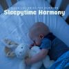 Download track Instrumental Lullabies