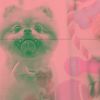 Download track Delightful Backdrops For Doggy Mental Health