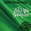 Download track Little Green Flag