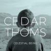 Download track Celestial Being