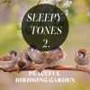 Download track Peaceful Birdsong Garden, Pt. 1