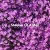 Download track Shadow Of A Man