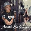 Download track Amarte En Silencio