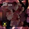 Download track Energy Salsa