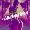 Download track Canchanchana