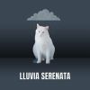 Download track Lluvia Suave