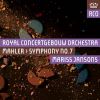 Download track Symphony No. 7 In E Minor: I. Langsam-Allegro Con Fuoco