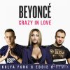 Download track Crazy In Love (Kolya Funk & Eddie G Dub Remix)