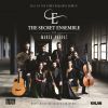 Download track Veysel Dalsaldı, The Secret Ensemble - Hazer Kıl