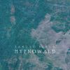 Download track Hypnowald 3