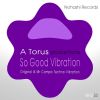 Download track So Good Vibration (Toru S. NYC Twilo Vibration)