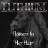 Download track Flowers In Her Hair