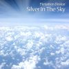 Download track Silver In The Sky