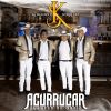 Download track Acurrucar (En Vivo)